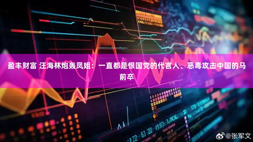 盈丰财富 汪海林炮轰凤姐：一直都是恨国党的代言人、恶毒攻击中国的马前卒