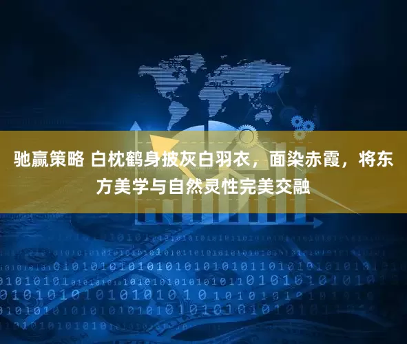 驰赢策略 白枕鹤身披灰白羽衣，面染赤霞，将东方美学与自然灵性完美交融