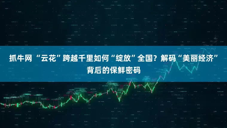 抓牛网 “云花”跨越千里如何“绽放”全国？解码“美丽经济”背后的保鲜密码